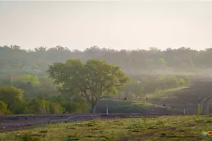 8440 State Hwy 239, Goliad, TX 77963 - Photo 18