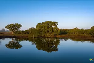 8440 State Hwy 239, Goliad, TX 77963 - Photo 10