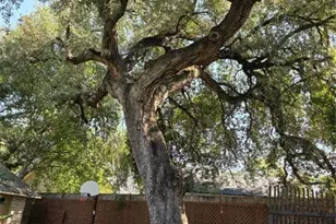 2505 Canyon Creek Dr, Temple, TX 76502 - Photo 18