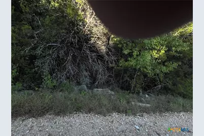 1331 Moerike Road, Canyon Lake, TX 78133 - Photo 4