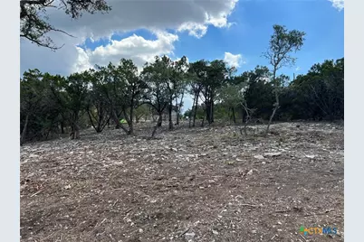 320 Lexington Pass, Canyon Lake, TX 78133 - Photo 2