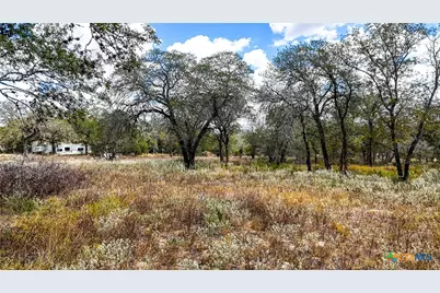 141 Oak Hill Road, La Vernia, TX 78121 - Photo 6