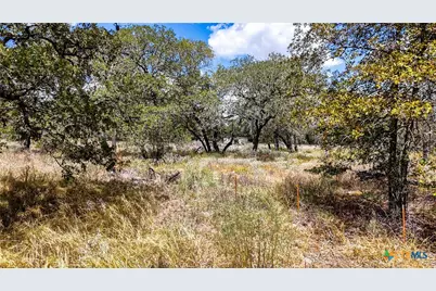 141 Oak Hill Road, La Vernia, TX 78121 - Photo 4