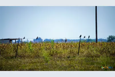 2525 Fm-2623, Seguin, TX 78155 - Photo 30