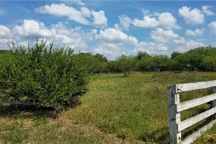 270 Canyon View Dr, Goliad, TX 77963 - Photo 38