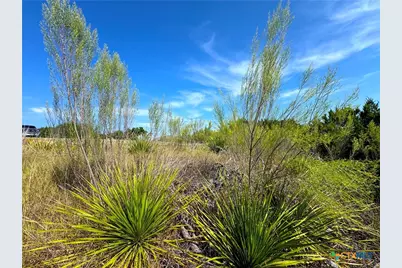 144 Jackson Creek, Canyon Lake, TX 78133 - Photo 12