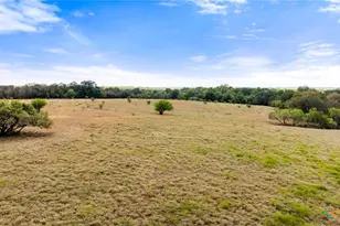 1272 Old Lytton Springs Rd, Lockhart, TX 78644 - Photo 8