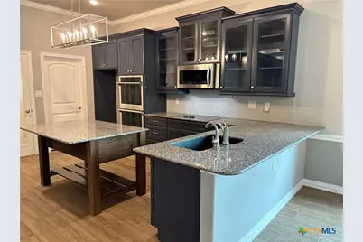 8381 Goliath Drive, Belton, TX 76513 - Photo 4