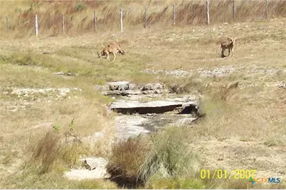 1059 Ranger Ridge, New Braunfels, TX 78132 - Photo 20