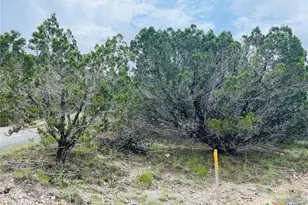 21603 Wyoming Pass, Leander, TX 78645 - Photo 4