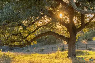 18429 Moreh Peak Pass, Austin, TX 78738 - Photo 6
