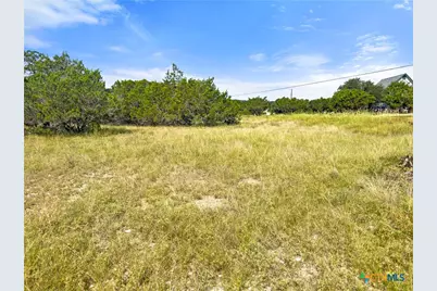 242 Thoroughbred Lane, Spring Branch, TX 78070 - Photo 6