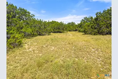 242 Thoroughbred Lane, Spring Branch, TX 78070 - Photo 10