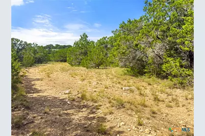 242 Thoroughbred Lane, Spring Branch, TX 78070 - Photo 2