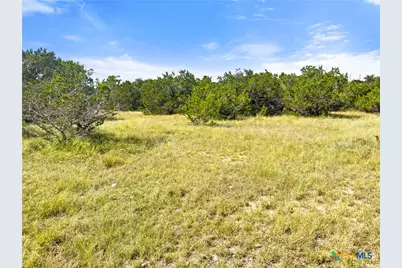 242 Thoroughbred Lane, Spring Branch, TX 78070 - Photo 4