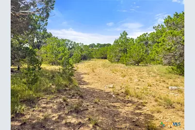 242 Thoroughbred Lane, Spring Branch, TX 78070 - Photo 1