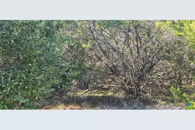 716 Line Camp Loop, Spring Branch, TX 78070 - Photo 4