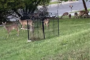 1307 Sherry Ln, Copperas Cove, TX 76522 - Photo 4