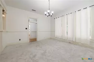 142 W San Antonio, New Braunfels, TX 78130 - Photo 12