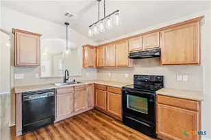 9816 Tully Weary Ln, Temple, TX 76502 - Photo 6