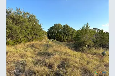 415 Scarlet Court, Canyon Lake, TX 78133 - Photo 6