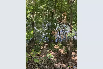 380 Guadalupe River Drive, Seguin, TX 78155 - Photo 8