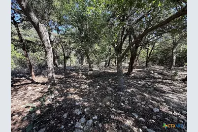 [Address not provided], Canyon Lake, TX 78133 - Photo 40