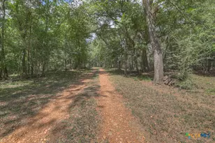 2354 Fm 2438, Seguin, TX 78155 - Photo 36