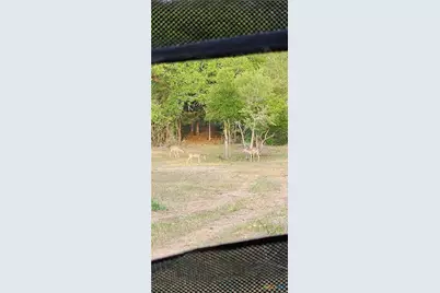 2354 Fm 2438, Seguin, TX 78155 - Photo 48