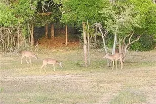 2354 Fm 2438, Seguin, TX 78155 - Photo 48