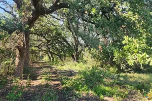 Tbd County Road 326, Bertram, TX 78605 - Photo 10