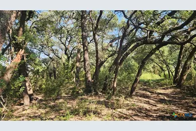 Tbd County Road 326, Bertram, TX 78605 - Photo 2