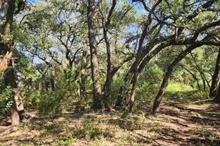 Tbd County Road 326, Bertram, TX 78605 - Photo 2