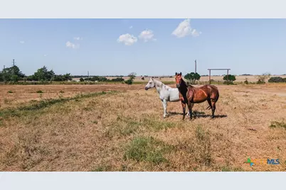 1439 Dagg Road, Yoakum, TX 77995 - Photo 46