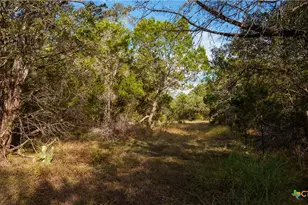 28084 Delafield Dr, New Braunfels, TX 78132 - Photo 6