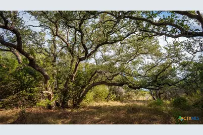 28084 Delafield Drive, New Braunfels, TX 78132 - Photo 10