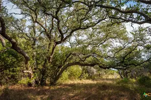 28084 Delafield Dr, New Braunfels, TX 78132 - Photo 10