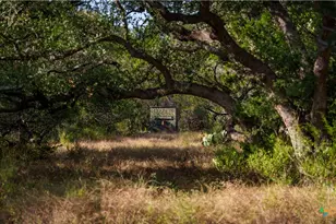 28084 Delafield Dr, New Braunfels, TX 78132 - Photo 2