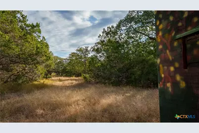 28084 Delafield Drive, New Braunfels, TX 78132 - Photo 10