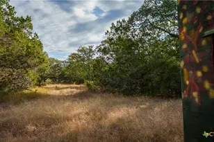 28084 Delafield Dr, New Braunfels, TX 78132 - Photo 10