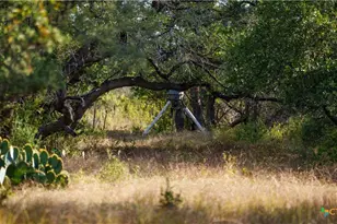 28084 Delafield Dr, New Braunfels, TX 78132 - Photo 14