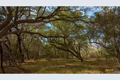 28084 Delafield Drive, New Braunfels, TX 78132 - Photo 8