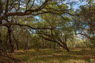 28084 Delafield Dr, New Braunfels, TX 78132 - Photo 8