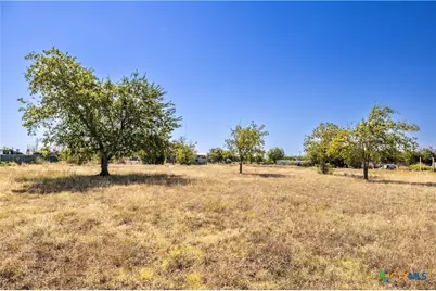 149 Caliza Drive, Bertram, TX 78605 - Photo 2