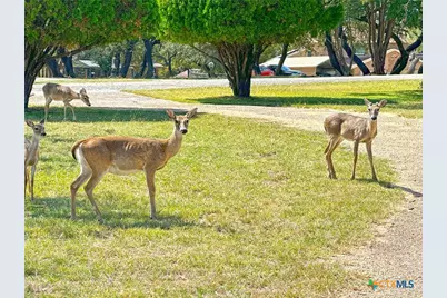 1002 Bleu Spur, Copperas Cove, TX 76522 - Photo 38