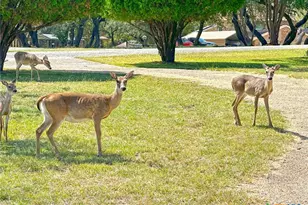 1002 Bleu Spur, Copperas Cove, TX 76522 - Photo 38