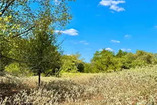 Tbd Rabel Rd, Rosanky, TX 78953 - Photo 16