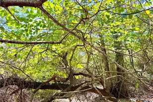 Tbd Rabel Rd, Rosanky, TX 78953 - Photo 14