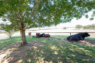 2542 Witter Road, Lockhart, TX 78644 - Photo 8