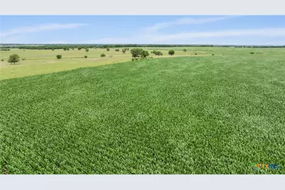 16160 Siler Road, Moody, TX 76557 - Photo 12